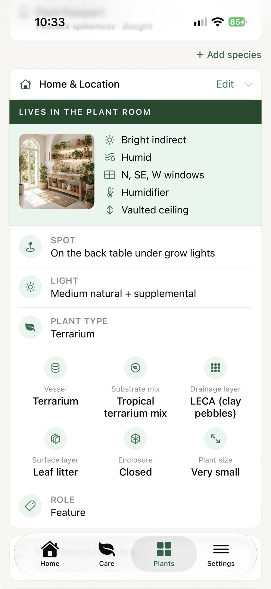 Liana plant profile showing a closed terrarium with its vessel, tropical terrarium mix, LECA drainage layer, leaf-litter surface layer and enclosure recorded